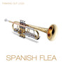 SPANISH FLEA