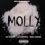 Molly (Explicit)