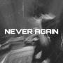 Never Again (feat. ADR1ANO)