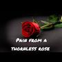 Pain From A Thornless Rose (Explicit)