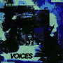 voices