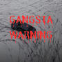 Gangsta Warning (Explicit)