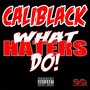 What Haters Do (Explicit)