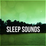 Sleep Sounds – Sounds for Sleeping, Dream Music, Sleep White Noise, Peaceful Sounds