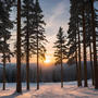 Solstice