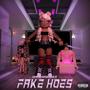 Fake Hoes (Explicit)