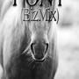 Pony (BizMix) [Explicit]