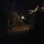 Still_In_Darkness*