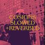 COSIGNS (SLOWED + REVERBED) [Explicit]