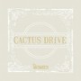 Cactus Drive