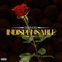 Indispensable (feat. Nahuel the Coach)