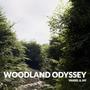 Woodland Odyssey