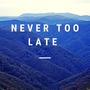 Never Too Late (Explicit)