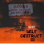 Self Destruct