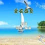 爱在盛夏