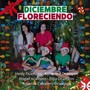 Diciembre Floreciendo