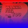 Wanna Feel You (Deep House Remix)