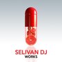 Selivan DJ Works