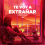 Te Voy a Extrañar (Noiztep Remix)