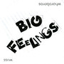 Big Feelings