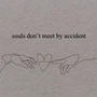 Souls Dont Meet By Accident (Explicit)