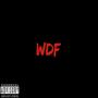 WDF (Radio Edit)