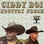 Kountry Fresh (feat. Tex Freedom) [Remix]