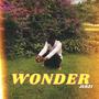 Wonder