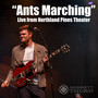 Ants Marching (Live From Northland Pines Theater - July 20, 2023)