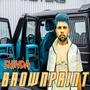 BROWNPRINT