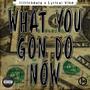 What You Gon Do Now (feat. Lyrical Vibe) [Explicit]