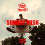Sunday Push (Explicit)