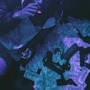 Sinner (Explicit)