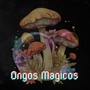 Hongos Magicos (Explicit)