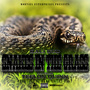 Snakes in the Grass (feat. Teflon Quinn)