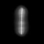TWO EXPOSURES OF THE//MOON