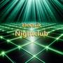 Electrik Nightclub (Explicit)