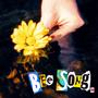 Bee Song