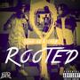 Rooted (feat. AQB) [Explicit]