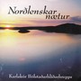 Norðlenskar Nætur