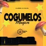 Cogumelos Mágicos (Explicit)