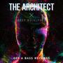The Architect