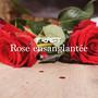 Rose Ensanglantée (Explicit)