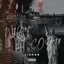 WHAT IT COST (Explicit)