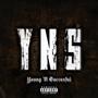 YNS (feat. Amiristayfit) [Explicit]