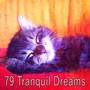 79 Tranquil Dreams
