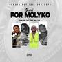 For Molyko (feat. ft BoyJ 2axe,Cyril keenz,Yung Time) [Explicit]