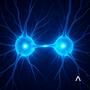 Neural assembly