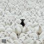 Black Sheep (Explicit)