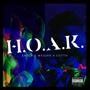 H.O.A.K. (feat. Wes2kk) [Explicit]